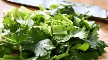 garnishing-instructions-image